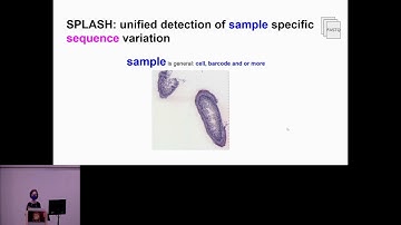 SPLASH is a reference-free statistical algorithm, unifying... - Julia Salzman - iRNA - ISMB 2024