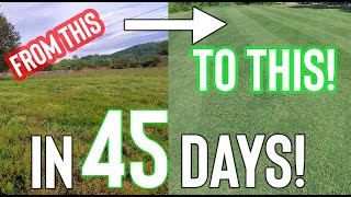 Celebrity Golf Course Style Lawn In 45 Days! (How To: Lawn Care) Profile