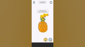 Brain Up Level 237 Walkthrough Solution Android