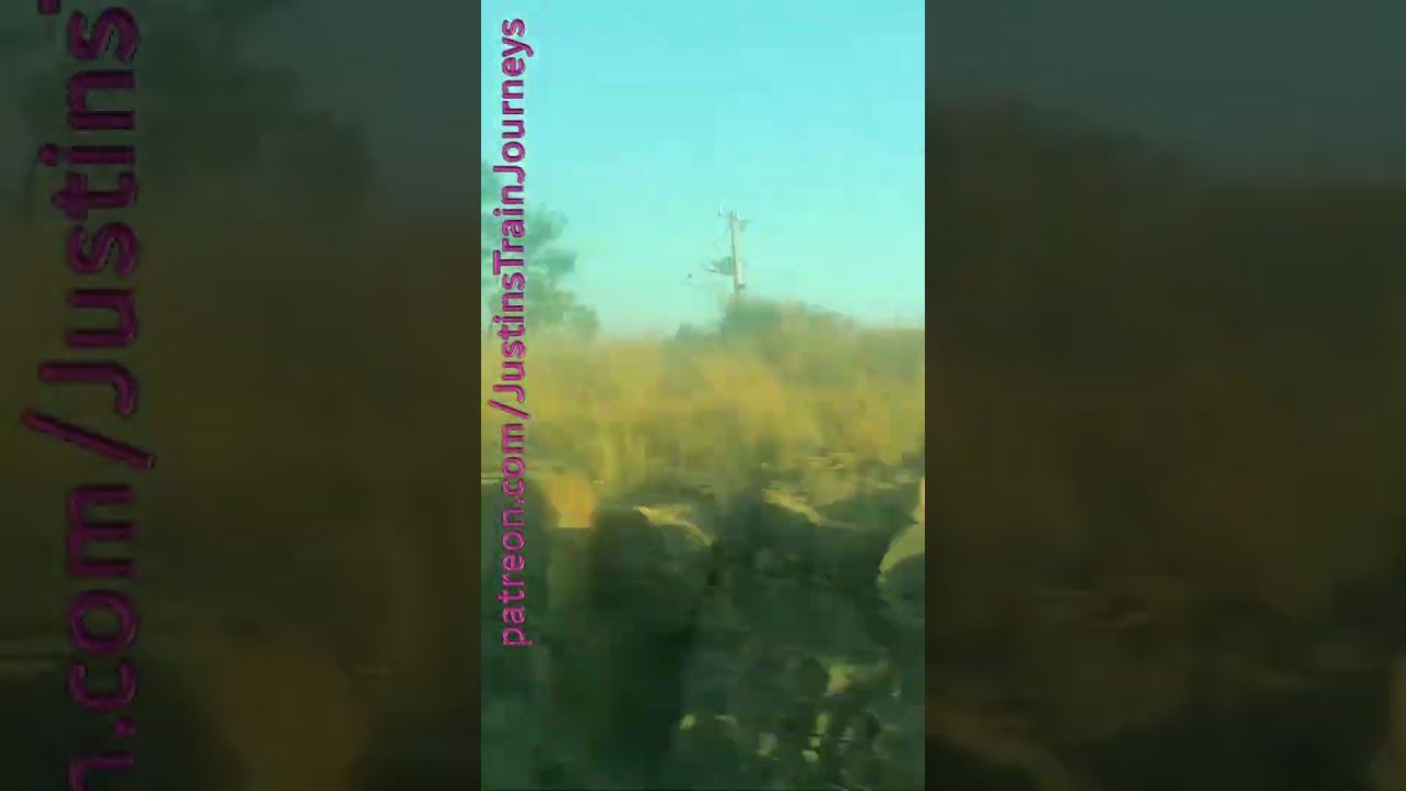 Steamrails Australia Day Return Trip From Rochester 260125 