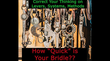 Leverage Bits and Signal a Rebuttal to Daniel Dauphin