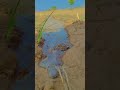 🌾🌿farming life 🌾 #shortvideo #shorts #trending #viral #desilife #farming #vlog #gav #agriculture