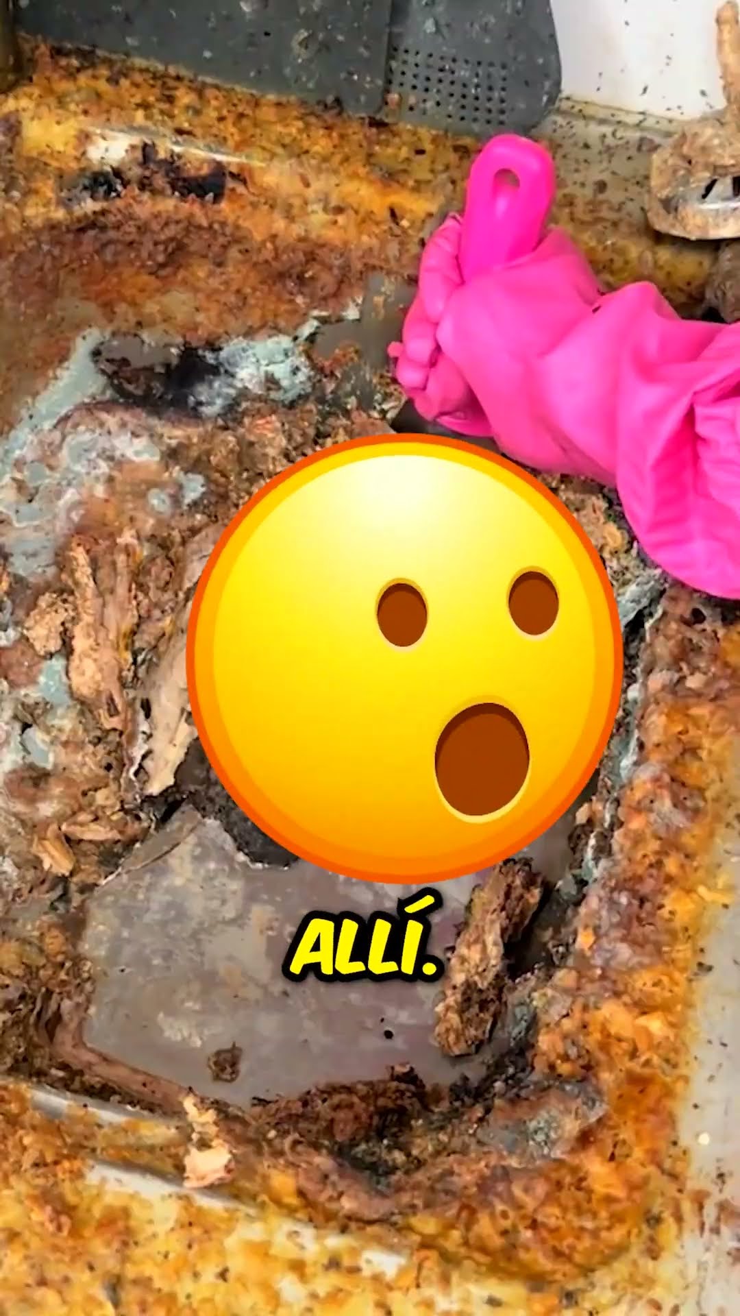 ELLA LIMPIA LA COCINA MÁS SUCIA DEL MUNDO ? #shorts