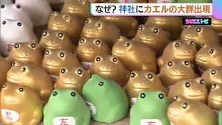なぜ？神社に“カエル”の大群出現！謎の光景のウラに200年前の大洪水