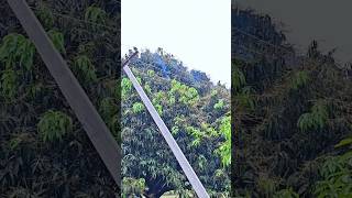 Aaj hamare 200kw k solar plant par ek or kaand ho gya #vlogs #solar #uttrakhand #roorkee #business