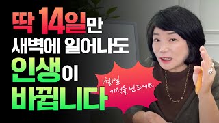 🌅김미경과 함께하는 미라클모닝 514 챌린지