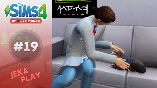 The Sims 4 Кошки и собаки | Кот везде и всюду! - #19 The Sims 4 Кошки и собаки | Кот везде и всюду! - #19