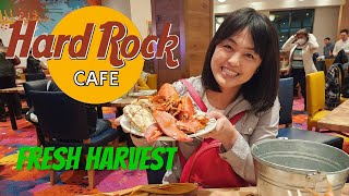Fresh Harvest | Hard Rock Sacramento | All You Can Eat Lobster and Crab Buffet