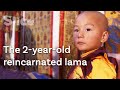 The childhood of a tibetan grand lama  slice