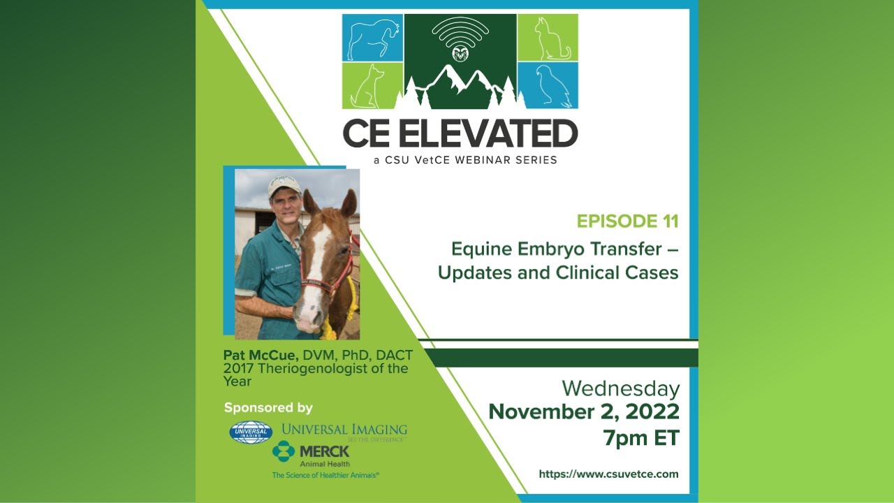 11 CE Elevated - McCue, 