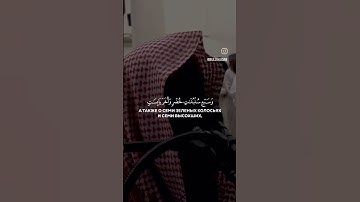 سورة يوسف الاية (٤٦) - محمد اللحيدان #قرآن #اكسبلور #ياسرالدوسري #القرآن_الكريم #حالات_واتس #القران