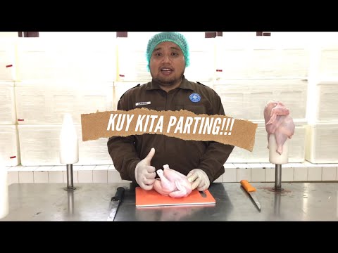 Video: Potongan Daging Ayam Menteri