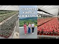 Plantitas visited agrikultura