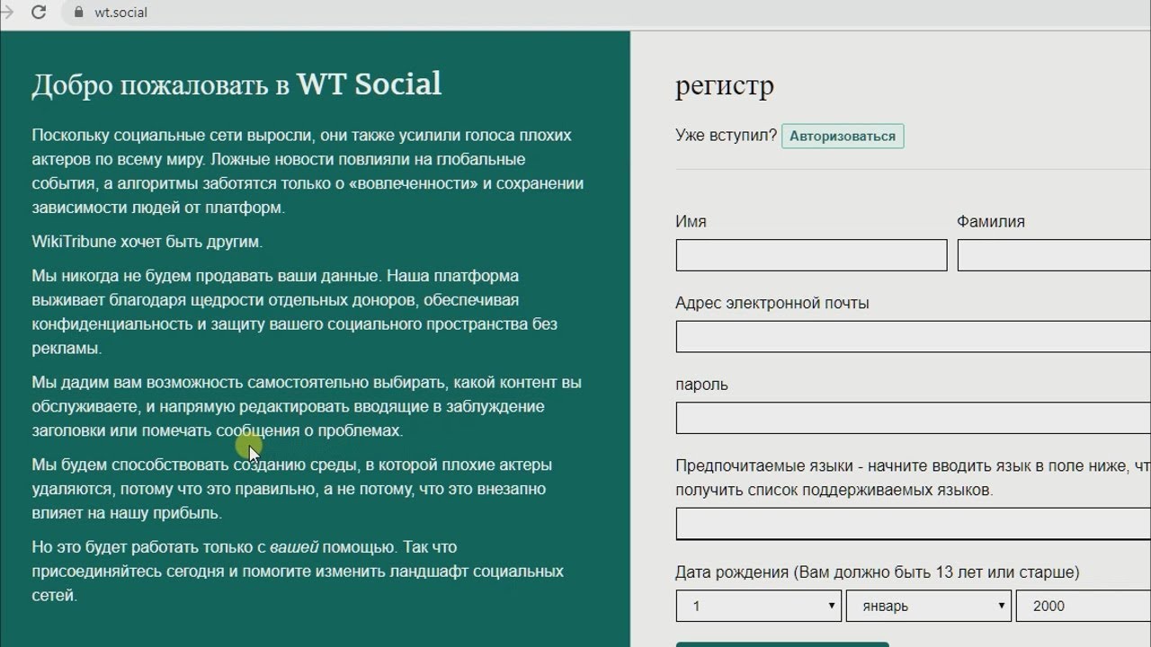 Новая социальная сеть WT.Social подарит общение? 2019