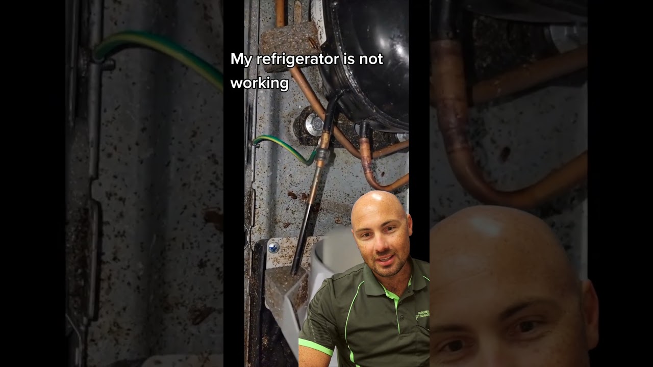 COCKROACH Behind Fridge? 🤯 