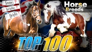 Top 100 horse breeds in the world