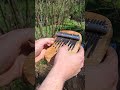 Ari special Saregama Flamed Walnut Sapwood kalimba #bolfkalimbas #kalimba #special #air