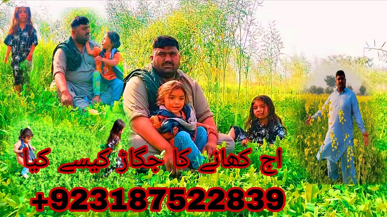 Aaj ke khane ka jugaad kaise lagaya Natasha family vilog 🤲🤲+923187522839