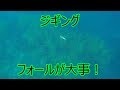ジギング水中映像 映像を見るだけでうまくなる!【フォール・スライドの重要性】