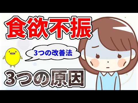 【食欲不振】食欲が無くてお腹が空かなくなる3つの原因と改善方法