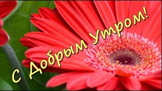 С Добрым Утром! Красивое Пожелание Доброго Утра. Желаю  Счастья, Отличного Настроения!