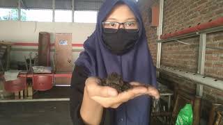 Perkembangbiakan Generatif Pembelajaran 1