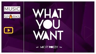 MIC X Rozzy - What You Want | Official Audio 2018 ?? | Music Sparks