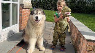 Adorable Baby Boy Scares His Dog With Dinosaur Costume (Cutest Ever!!)
