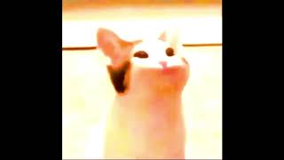 POP CAT BASS BOOSTED 1 HOUR VERSION *EARRAPE*