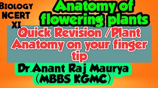 NEET/PMT/Quick revision of   Anatomy 0f Flowering Plant / Biology NCERT XI /Plant Anatomy/Pre medico screenshot 5