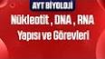 Genetik Materyal: DNA ve RNA ile ilgili video