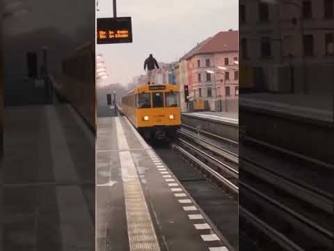 MOTIKA66