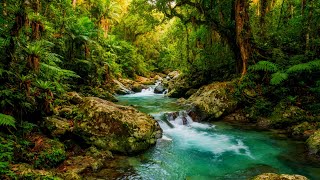 Calm Mountain River Water Sounds | Soothing Nature Sounds for Deep Sleep, Study & Relaxation