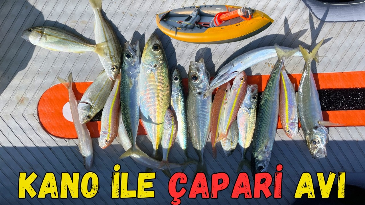 Denizden Çıkan ŞOK Balık! Kano Avı 🎣😱 #shorts #fishing #camping #nature