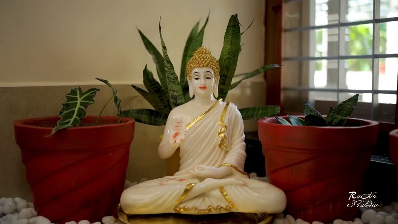 House Warming | Rana Studio #housewarming #keralahouse  #contemporarystyle 