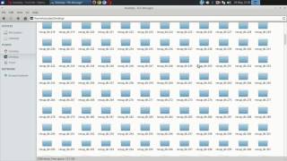 Celebrity Linux Crashes, Files Gone, Now What? Net Worth