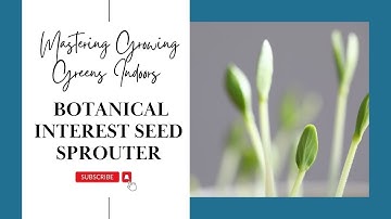 Mastering Growing Greens Indoors | Botanical Interest Seed Sprouter