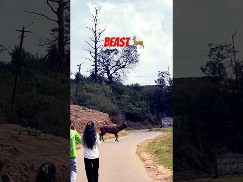 #phonk #phonkmusic #miniooty #travel #hardworkworks #viralvideoshorts #lake #nature #thamilnadu