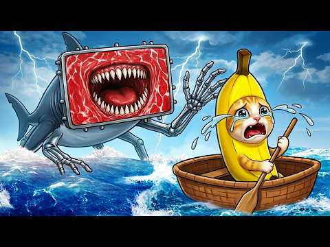 Banana Cat vs MS. HUMBLE SHARK😱 Banana Cat Compilation 🐱 Happy Cat Crying MEME 😿