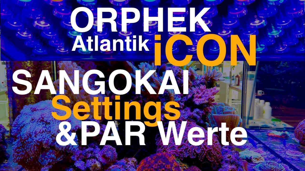 SANGOKAI Orphek Atlantik iCon Settings