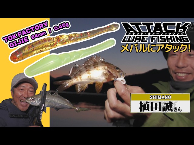 95 Attack on Rockfish! 