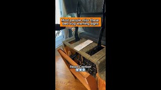 Most People Miss These Bed Bug Warning Signs | Rock Pest Control #shorts