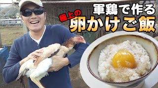 【TKG極上の卵かけご飯】Twitterで話題の卵かけご飯を軍鶏の卵で作ってみました。