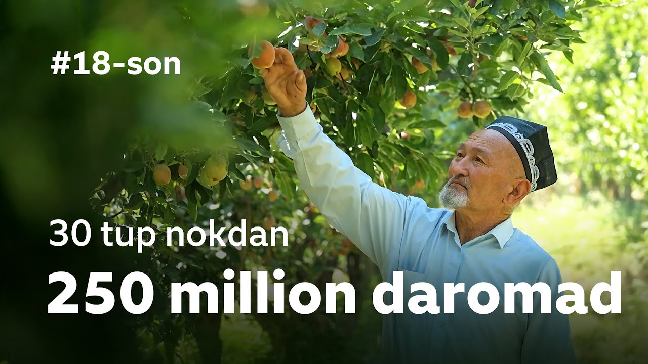 10 sotixdan 250 MILLION SO'M DAROMAD #18 Mening Tomorqam / JIZZAX