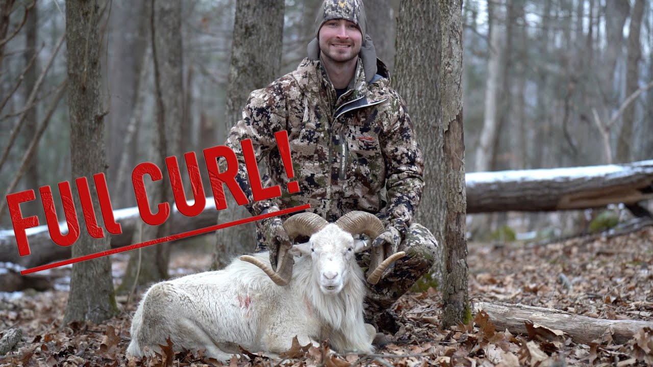 TEXAS DALL RAM HUNT YouTube