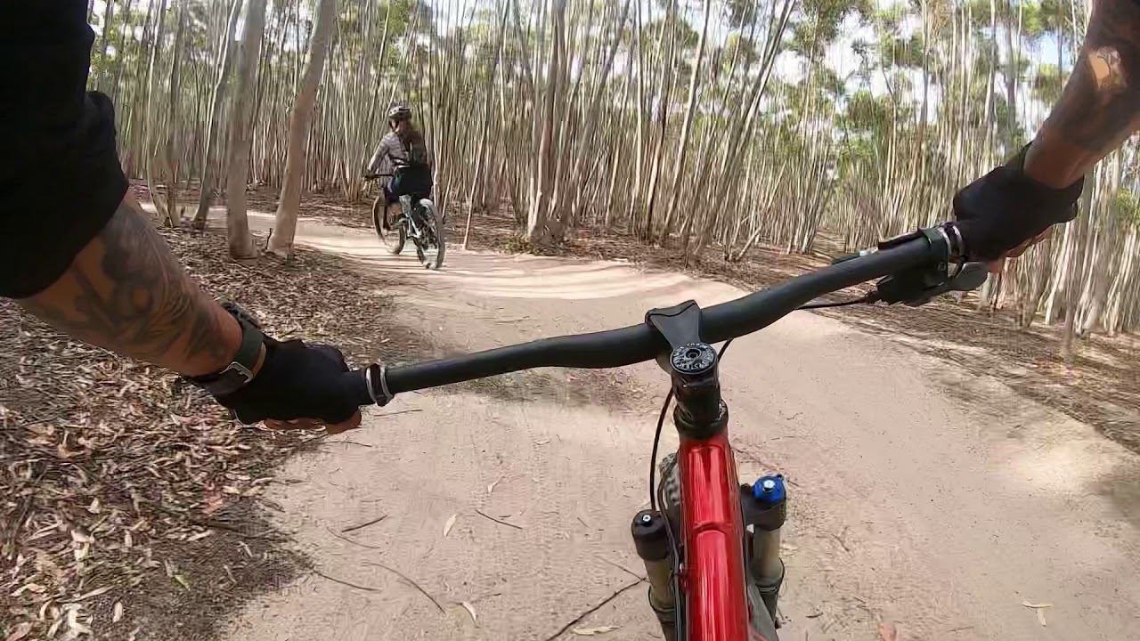 First Attempt - Chainsaw Track Youyangs