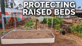 How to Perfectly PestProof a Raised Bed