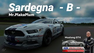 Latino GT7 | SERDEGNA GT3 | VIP