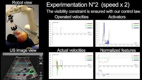 Maintaining visibility constraints during tele-echography with ultrasound visual servoing
