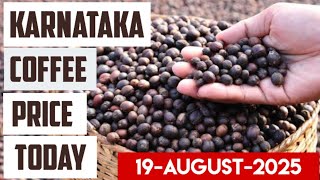 Raw Coffee Price Karnataka INDIA Arabica Robusta Parchment Cherry Grades 19 August 2025 Kappikkuru